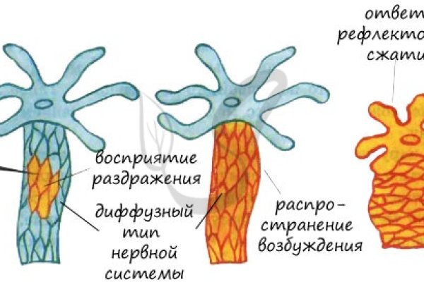 Ссылки на дарк нет