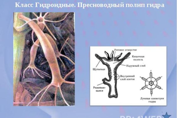 Поддержка кракен шоп