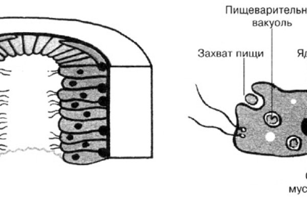 Кракен даркнет лол