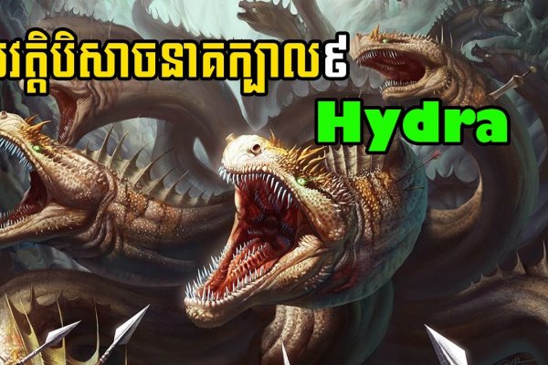 Kraken это