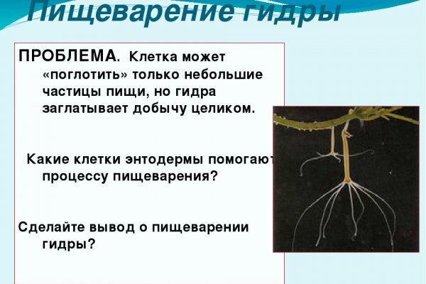 Гидра сайт в тор браузере ссылка