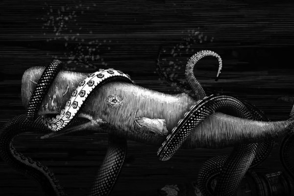 Kraken 19 at