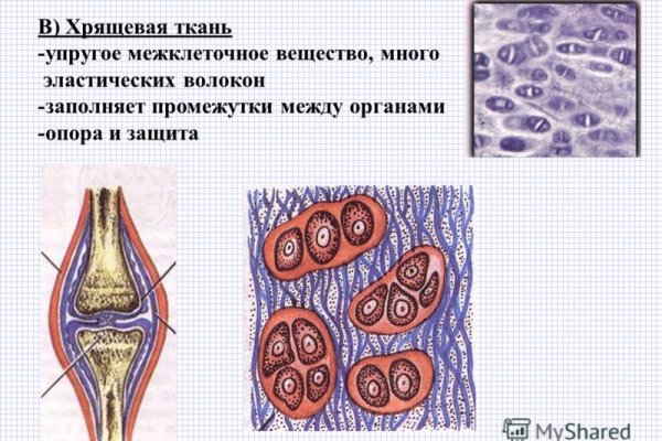 Сайт кракен через тор