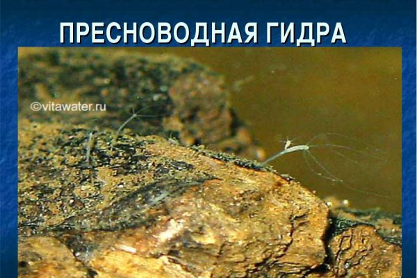 Кракен площадка ссылка