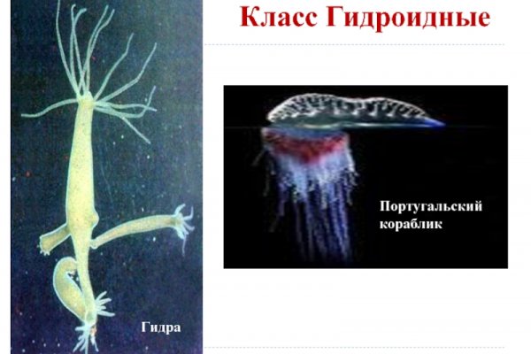 Кракен сайт ссылка онлайн