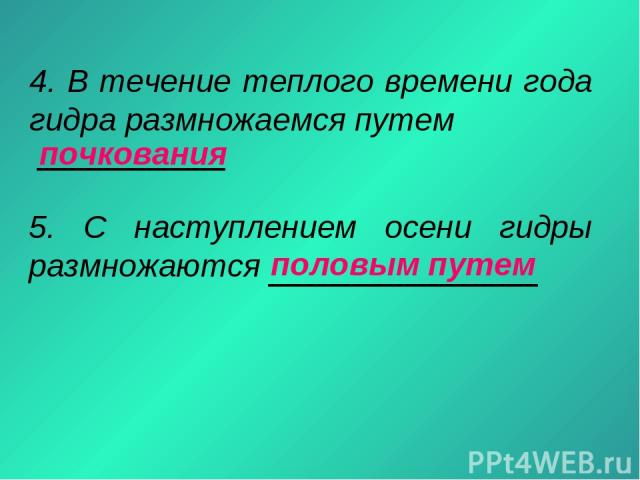 Кракен маркетплейс отзывы