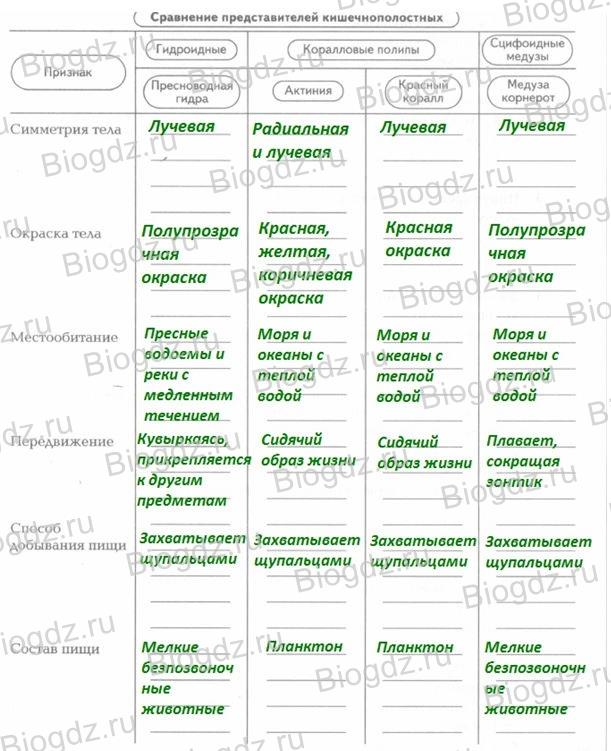 Кракен даркнет ссылка на сайт